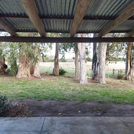 Villa La Nena: Casa De Campo A 15 Minutos Del Centro. à Colonia del Sacramento Extérieur photo