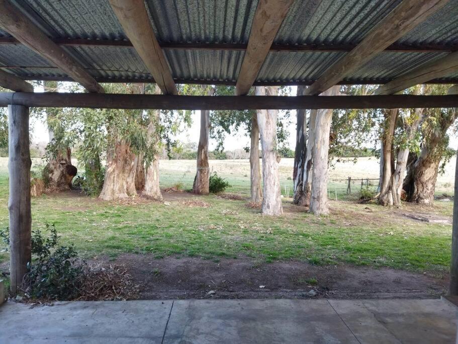 Villa La Nena: Casa De Campo A 15 Minutos Del Centro. à Colonia del Sacramento Extérieur photo