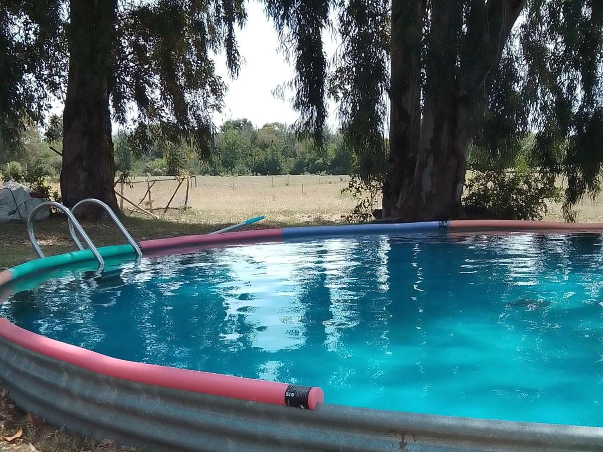 Villa La Nena: Casa De Campo A 15 Minutos Del Centro. à Colonia del Sacramento Extérieur photo